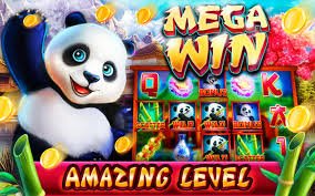 32win19